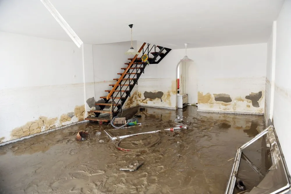 water damage mitigation - 6