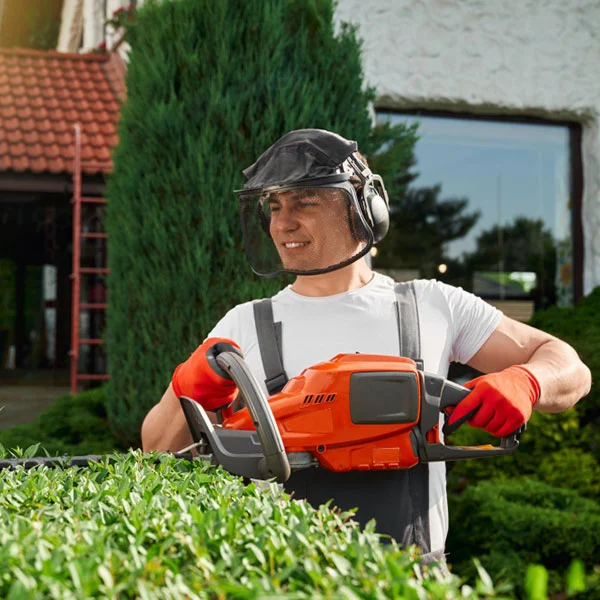 Professional gardener trimming green bushes in a landscaped yard.