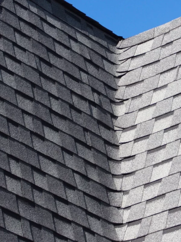 commercial-roof-shingle-crop-009